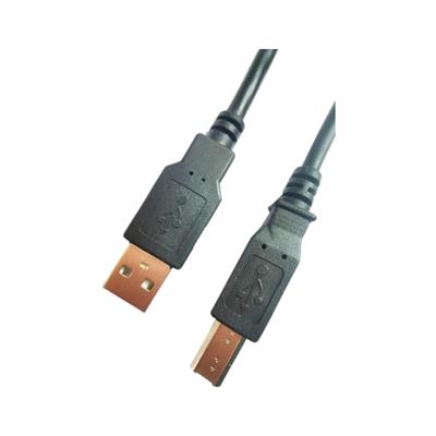 CABLE DE USB AM A USB BM. DE 2MTS