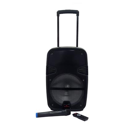 (**) BAFLE DE BATERIA DE 12