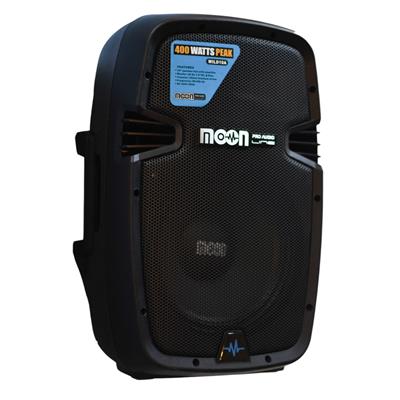 BAFLE POTENCIADO DE 10