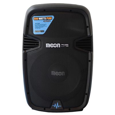 BAFLE POTENCIADO DE 12