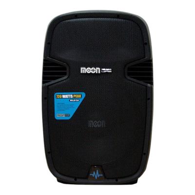 BAFLE POTENCIADO DE 15